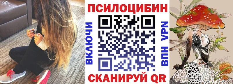магазин    Зеленогорск  Галлюциногенные грибы мухоморы 